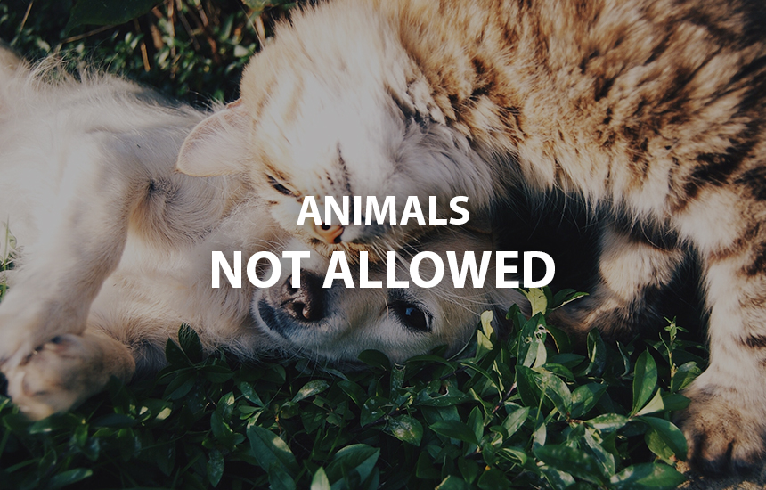 Animals not allowed