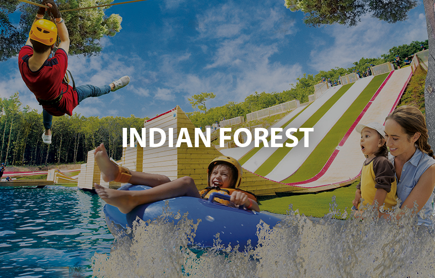 Indian Forest