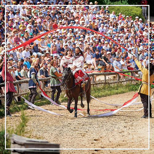 Puy du fou hôtel vendée