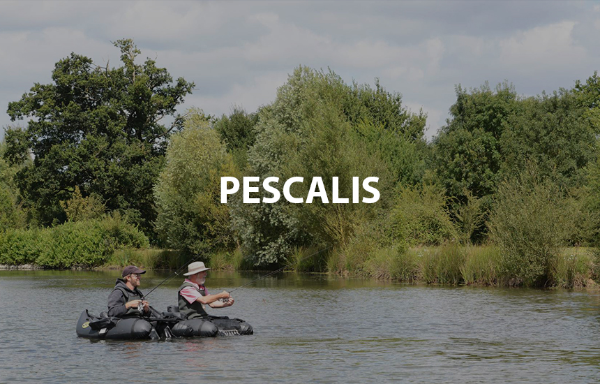 Pescalis