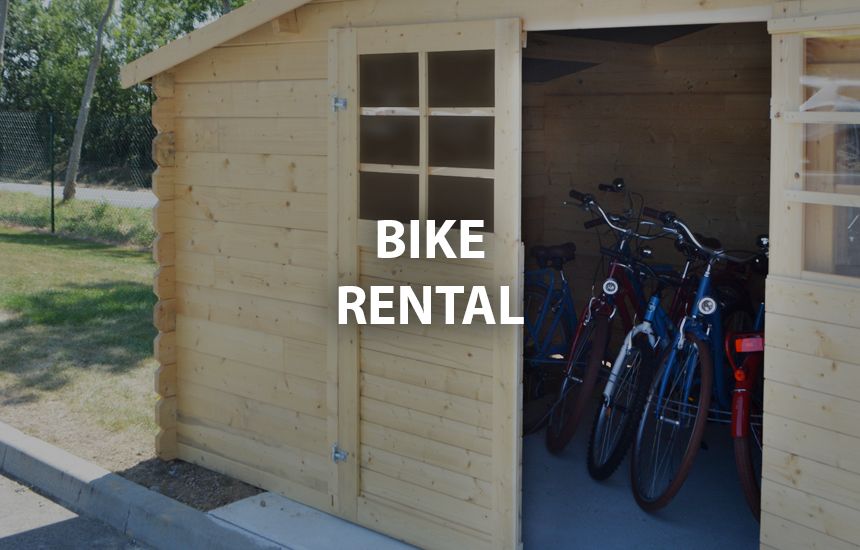 Bike rental